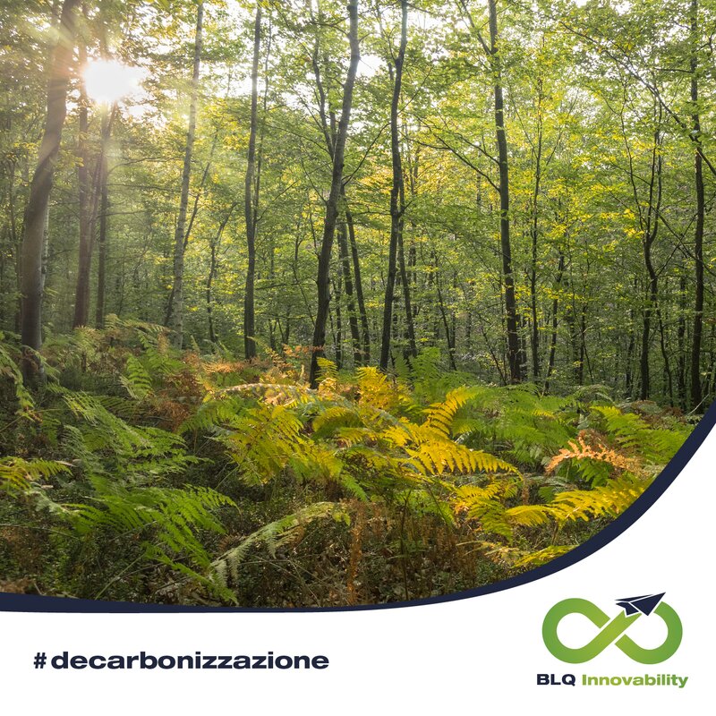 Realizzazione fascia boscata a nord dell’aeroporto